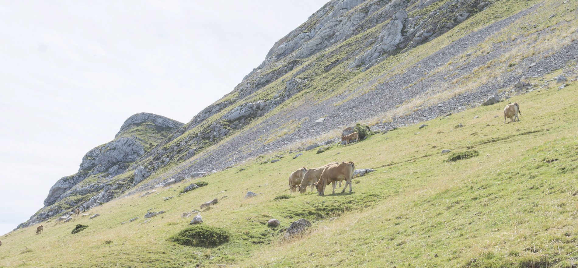 Pastos Casa ramon_Asturias_